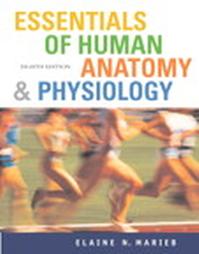 Essentials Of Human Anatomy & Physiology by Elaine N. Marieb (2005, Package)