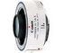 Camera Lens: Canon Life EXT EF 1.4x II Lens 