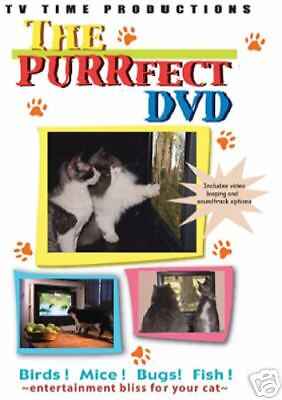 The PURRfect DVD, Brand new cat video, ...