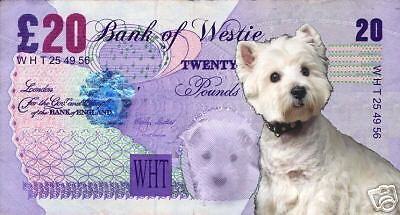 WESTIE 20 PFUND   SCHEIN***  