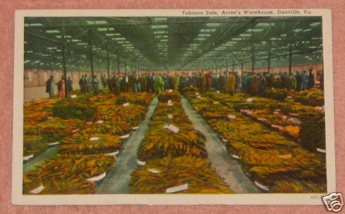 Tobacco Sale, Acrees Warehouse, Danville, Virginia  