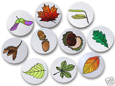 Stempelset Blätter +Früchte Laubbäume 10 Stempel Herbst  