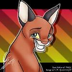 caracal_fashions