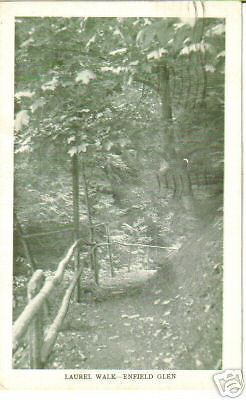 Laurel Walk Enfield Glen Ithaca NY photo postcard  