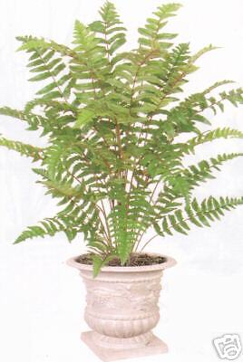 LEATHER FERN BUSH 36 ARTIFICIAL PLANT SILK TREE PALM  