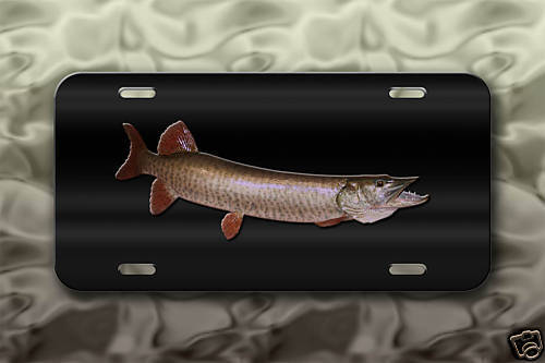 Muskie Muskellunge license plate fishing  