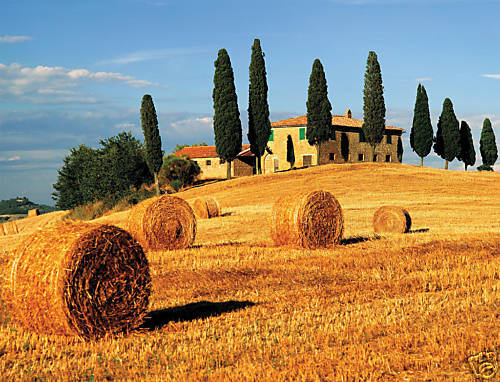 PUZZLE RAVENSBURGER 2000 PZ ESTATE IN TOSCANA 16604  