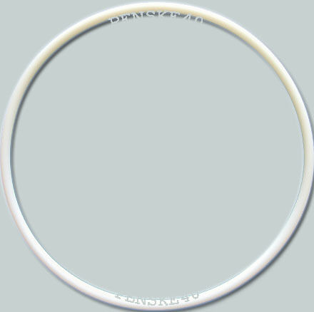 Midmark Ritter M7 Speedclave Door Seal Gasket  